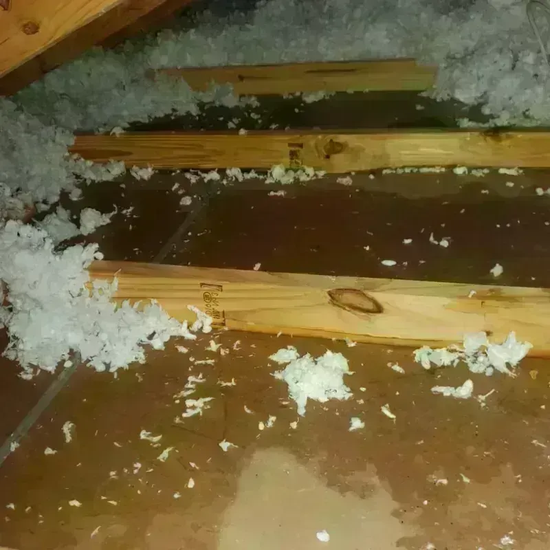 Attic Water Damage in Churubusco, IN