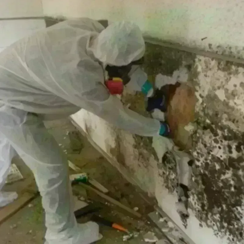 Mold Remediation and Removal in Churubusco, IN