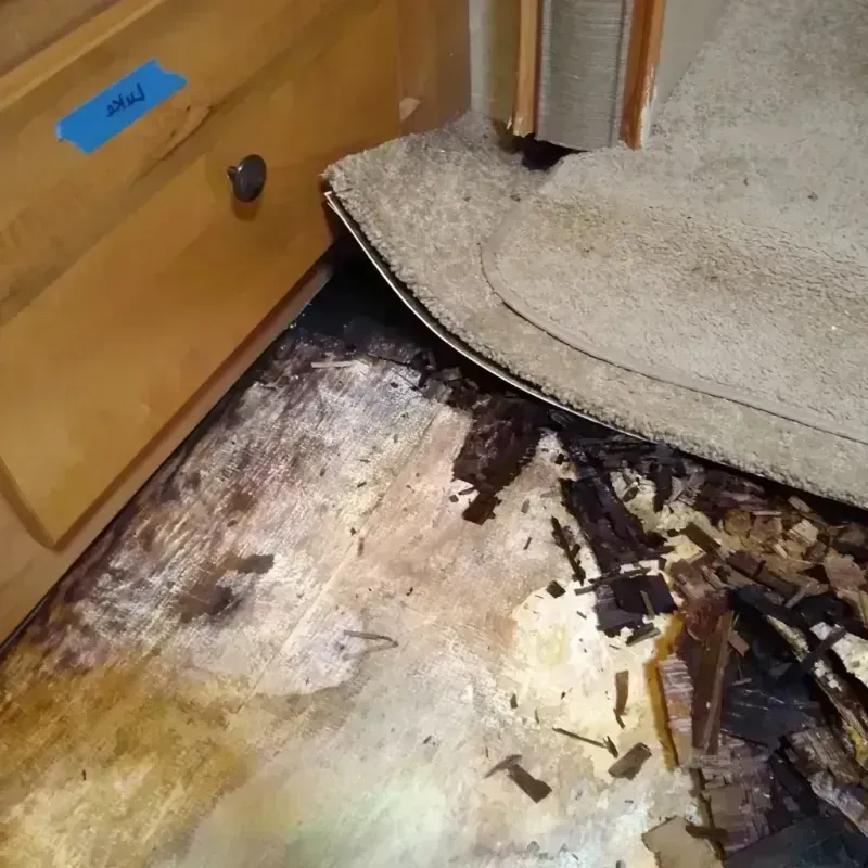 Best Wood Floor Water Damage Service in Churubusco, IN